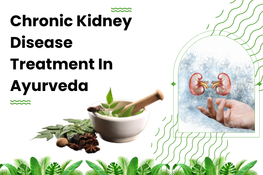 Chronic Kidney Disease Treatment In Ayurveda