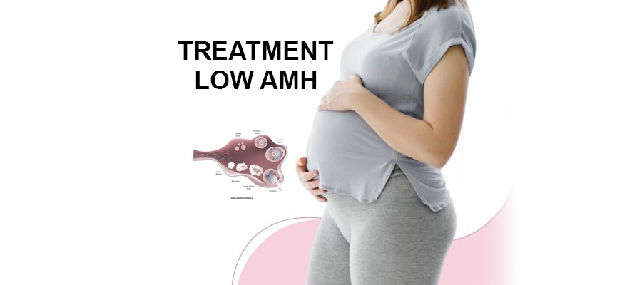 Low AMH Treatment Delhi